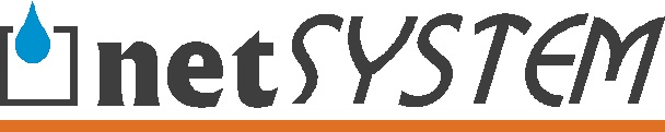 File:Logo-netsystem-pl.jpg